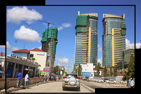 Marketing and Letting